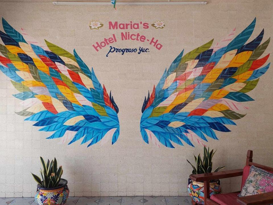 Hotel Maria'S Nicte Ha 프로그레소 외부 사진